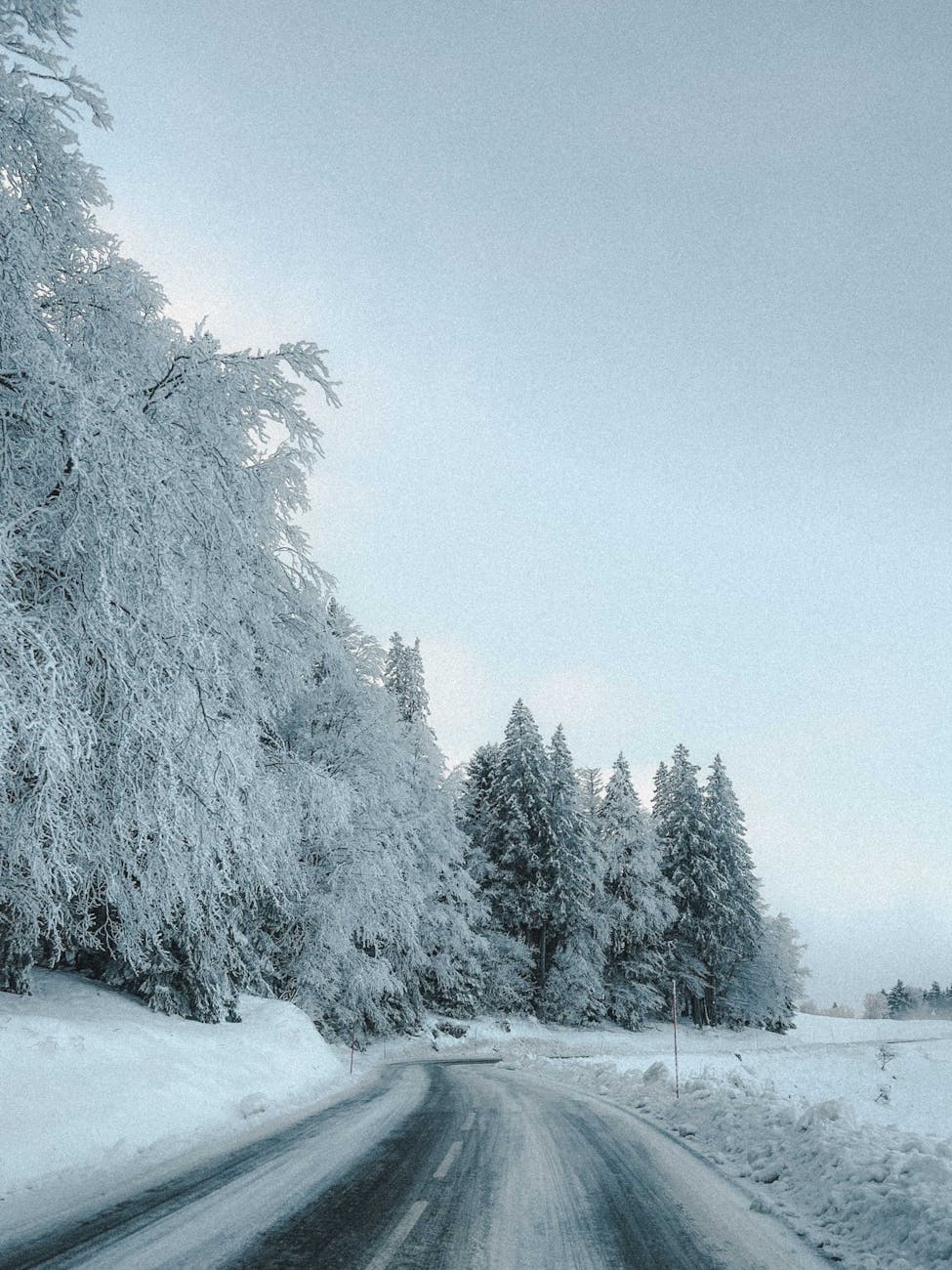 Blessed Mother Lumnos, That Was a Lot of Pages: A Heat of the Everflame Review